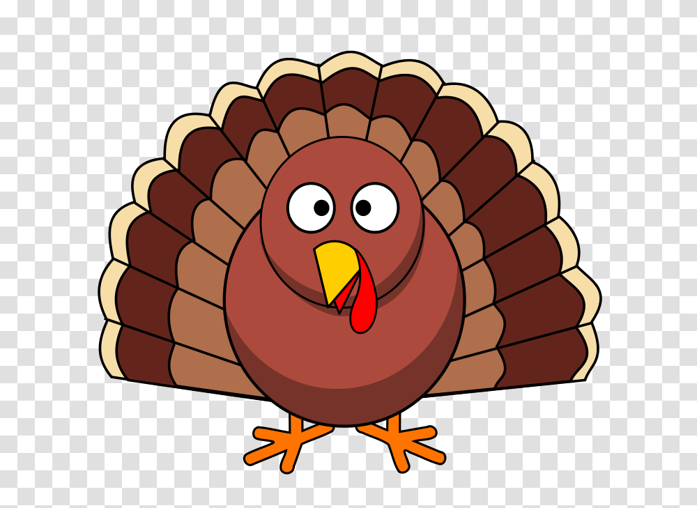 Thanksgiving Turkey, Emotion, Bird, Animal, Fowl Transparent Png