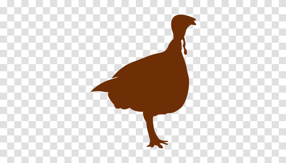 Thanksgiving Turkey Ilhouette, Bird, Animal, Fowl, Poultry Transparent Png