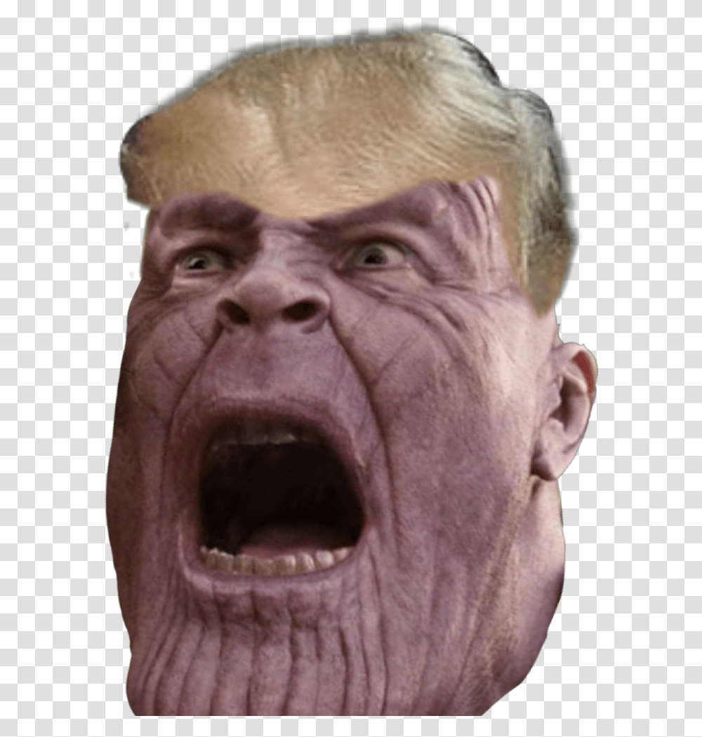 Thanos Donaldtrump Heheh Hahahahaha Thanos Has Been Shout, Head, Face, Person, Human Transparent Png