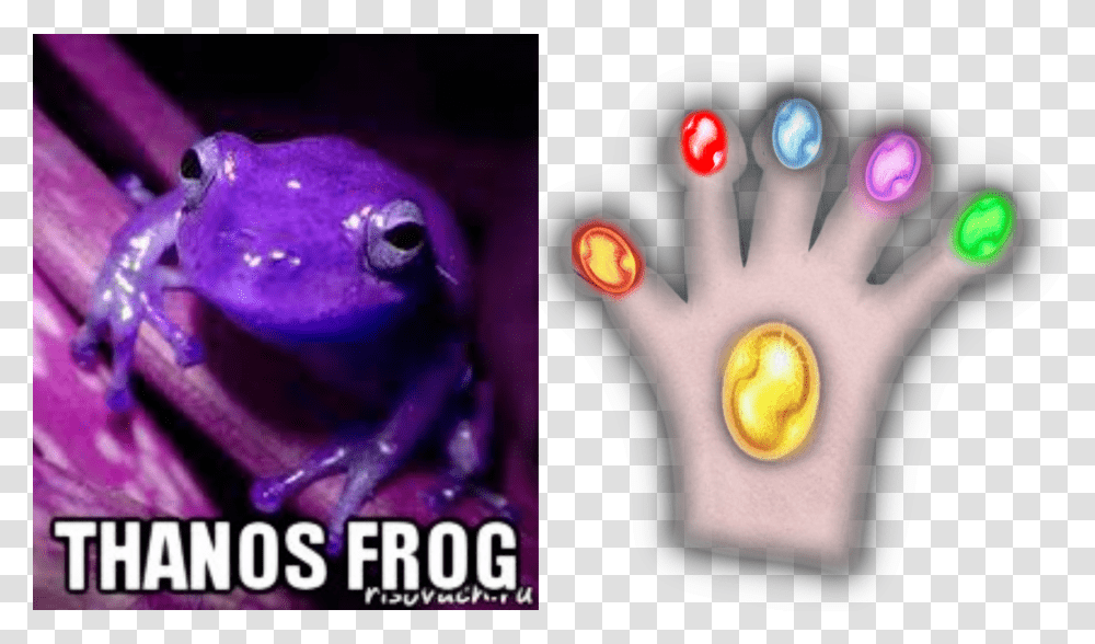 Thanos Glove Gauntlet Custom Fit For Frog Fingers Imgur Purple Frog, Amphibian, Wildlife, Animal, Person Transparent Png