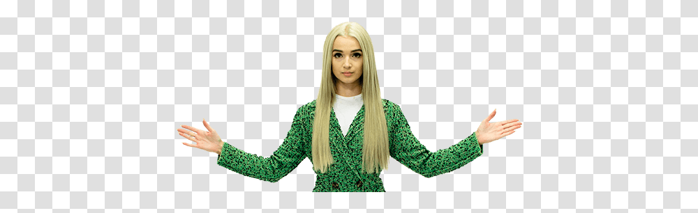 That Poppy 2 Image Girl, Hair, Costume, Person, Human Transparent Png