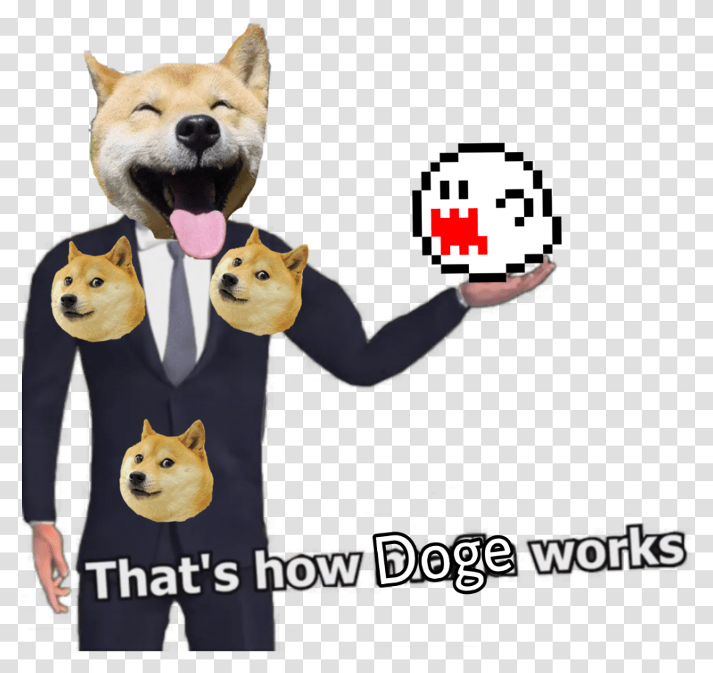 Thats How Doge Works Mafia Works Meme Template, Animal, Mammal, Cat, Pet Transparent Png