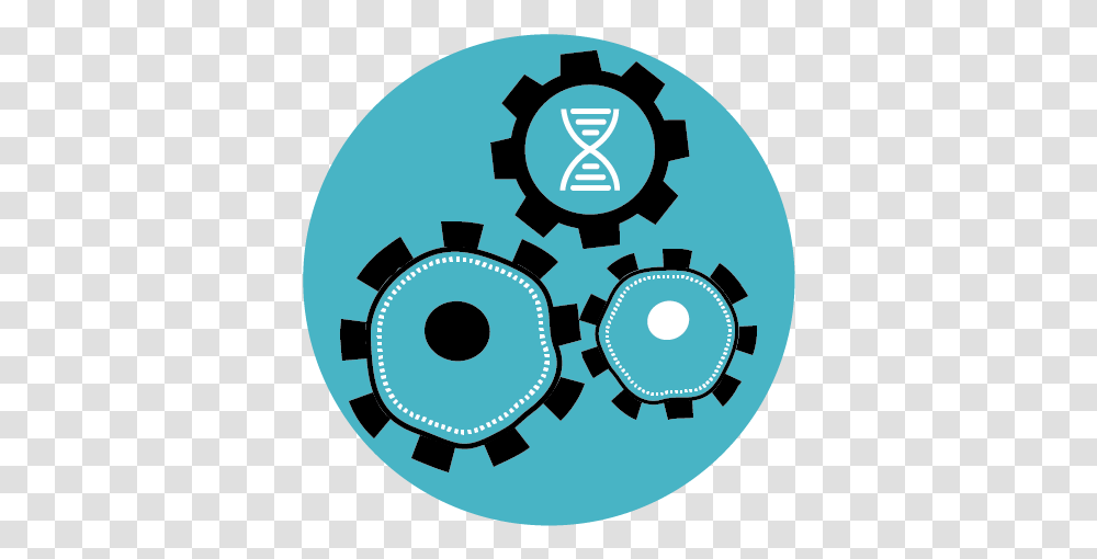 Thayer School Of Engineering Biomedical Engineering Icon, Symbol, Recycling Symbol, Graphics, Art Transparent Png