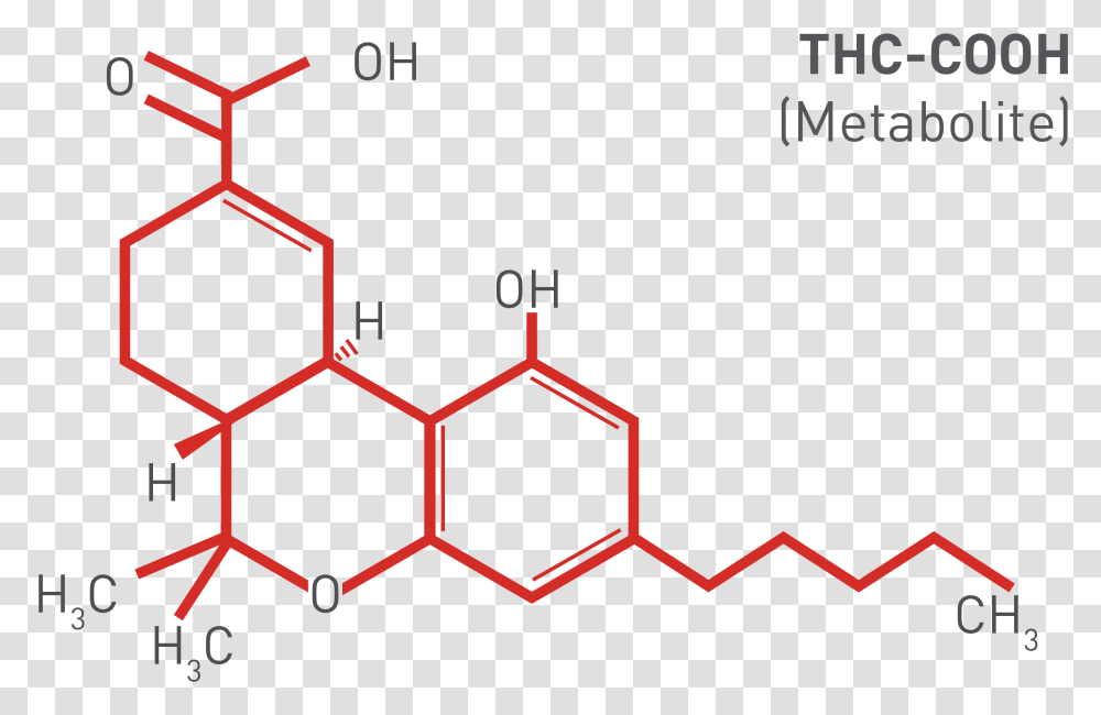 Thc Cooh Marijuana Metabolite Formula Do Thc, Number, Plot Transparent Png