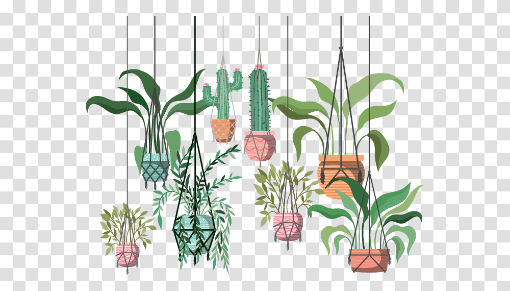 The 10 Best Hanging Plants For Creating An Indoor Instagram Hanging Flower Plants Illustration, Art, Lighting, Painting, Jar Transparent Png