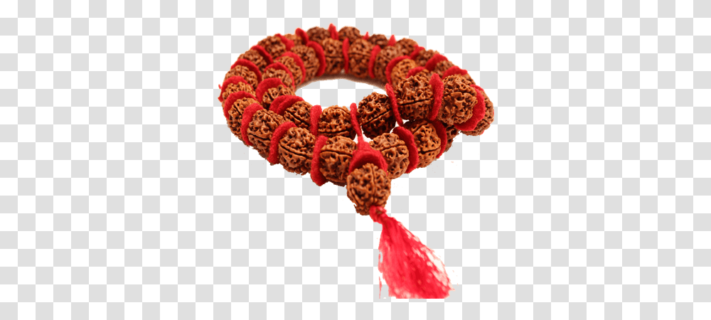The 5 Mukhi Kantha Is For Different Bracelet, Accessories, Accessory, Bead Necklace, Jewelry Transparent Png