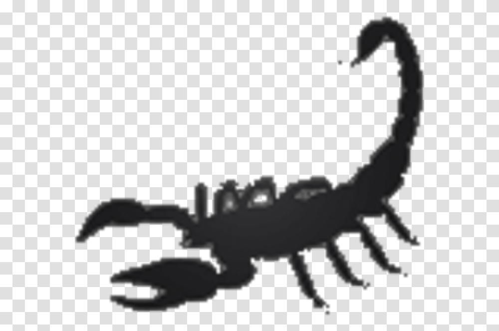 The Abilene Eagles Defeat The South Hills Scorpions South Hills High School Scorpion, Invertebrate, Animal Transparent Png