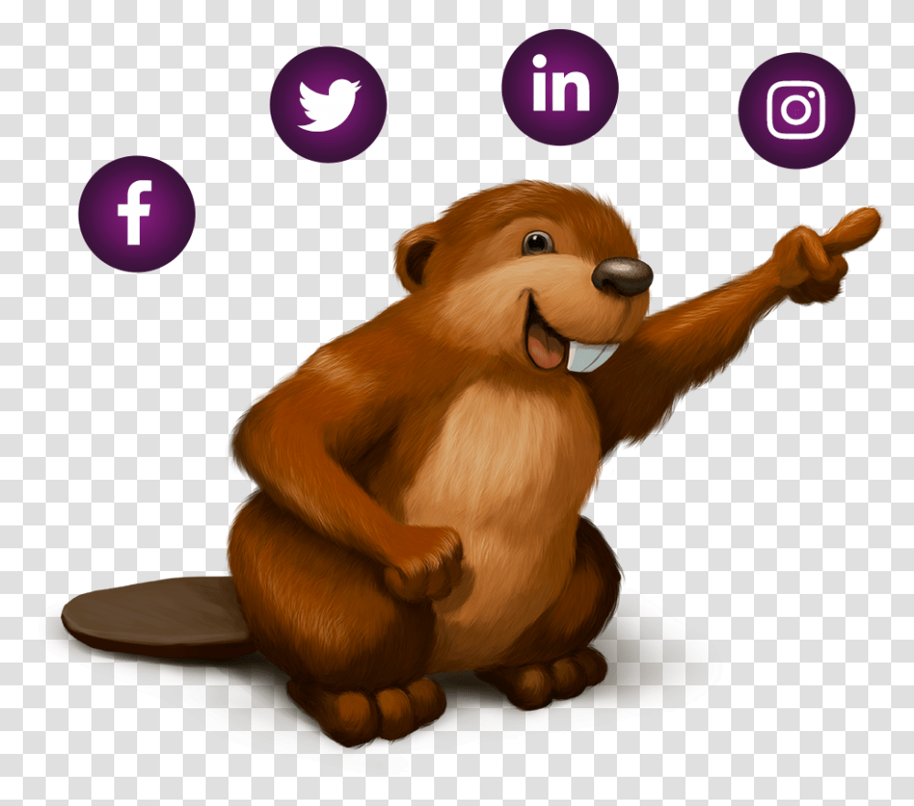 The Acopian Beaver Story Power Supplies Small Email Signature Facebook Icon, Toy, Wildlife, Animal, Mammal Transparent Png