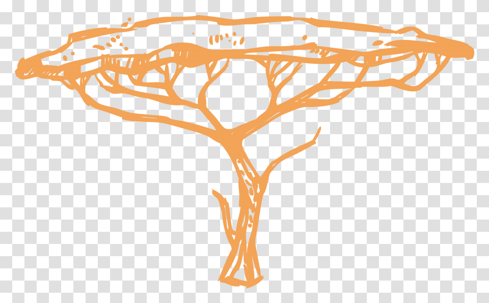 The African Research Assist Tree, Slingshot, Wood, Antler, Gun Transparent Png