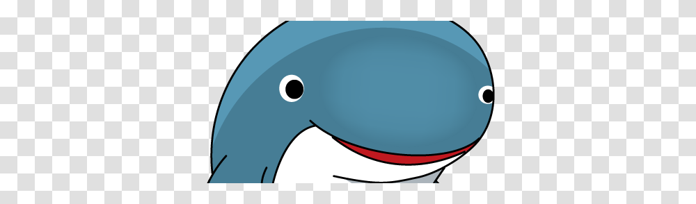 The After Church Experience Ace, Sea Life, Animal, Mammal, Beluga Whale Transparent Png