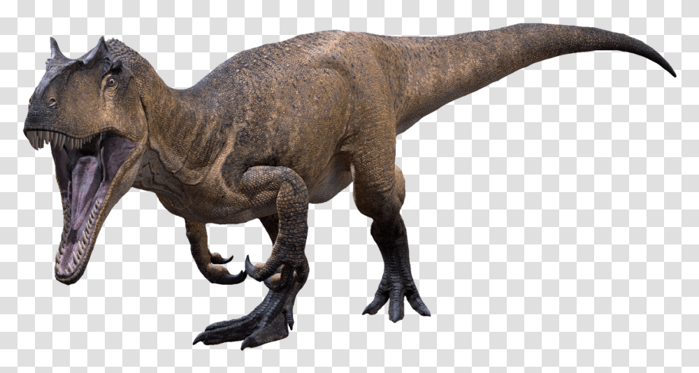 The Allosaurus Ver Allosaurus, T-Rex, Dinosaur, Reptile, Animal Transparent Png