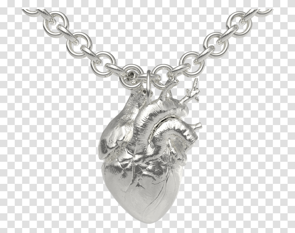 The Anatomical Heart Cardcaptor Sakura, Necklace, Jewelry, Accessories, Accessory Transparent Png