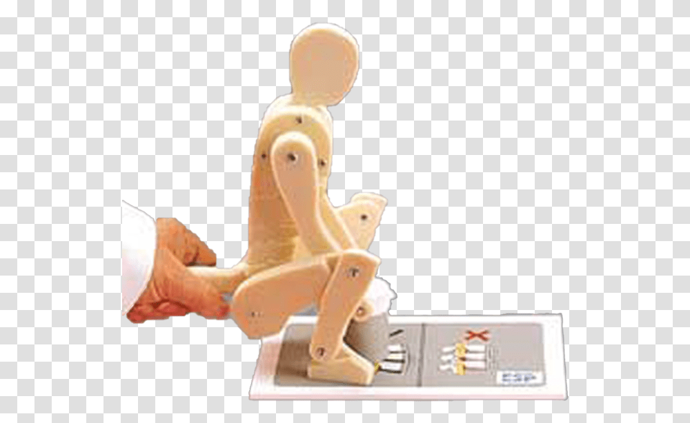 The Anatomical Lifting ManikinData Zoom Cdn Eurodidact, Toy, Figurine, Person, Human Transparent Png