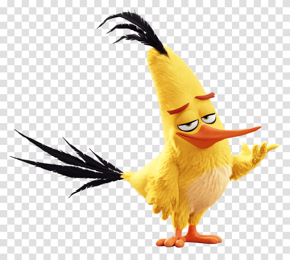 The Angry Birds Movie Chuck From Angry Birds, Animal Transparent Png