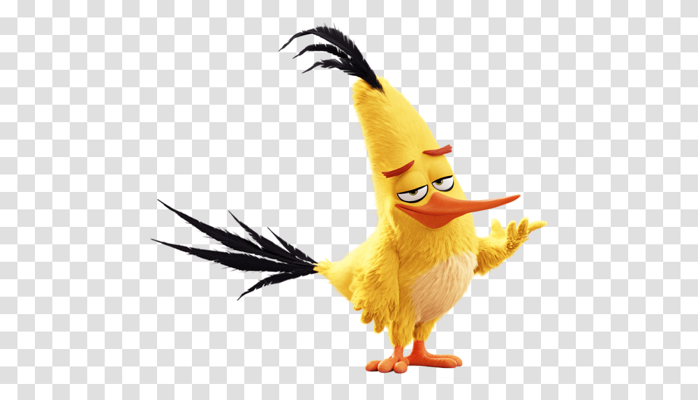 The Angry Birds Movie Chuck Image, Animal, Chicken, Poultry, Fowl Transparent Png