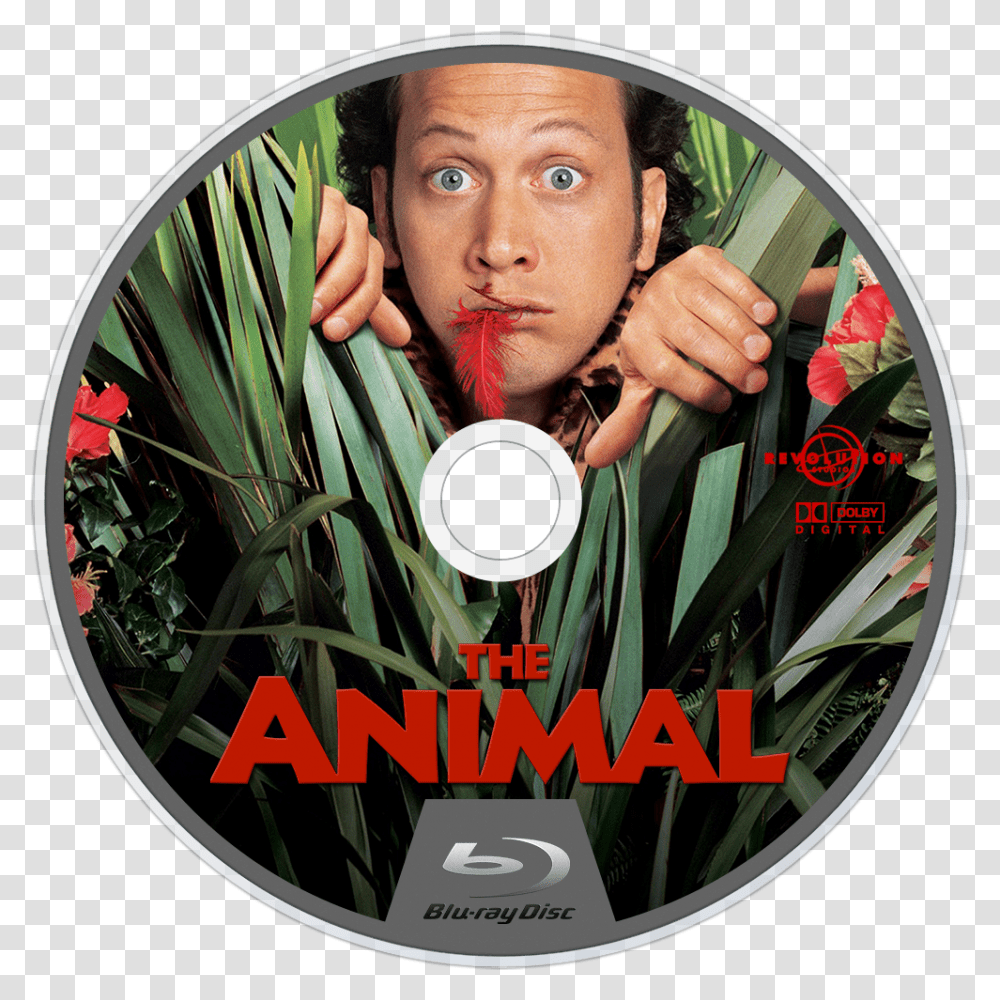 The Animal 2001 Dvd The Animal Dvd Case Icon Animal 2001 Label Dvd, Disk, Person, Human Transparent Png