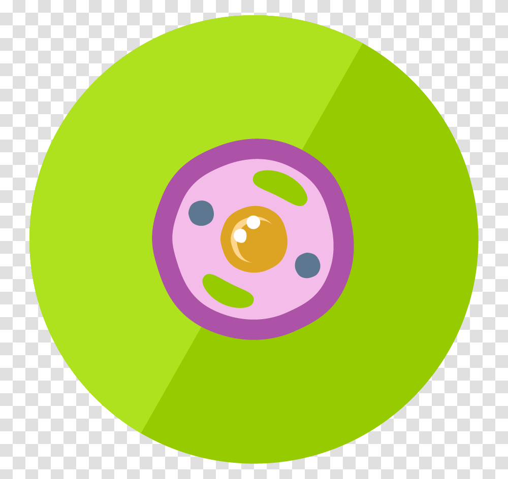 The Animal Cell Animal Cell Icon, Tennis Ball, Sport, Sports, Disk Transparent Png