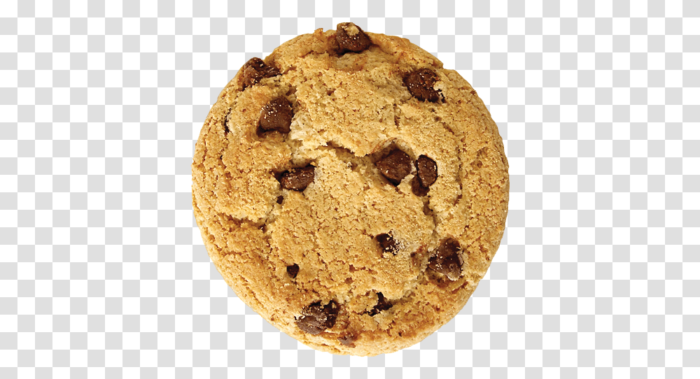The Annual Cookie Sale To Combat World Hunger Cookie Monster Party Ideas, Bread, Food, Biscuit, Female Transparent Png