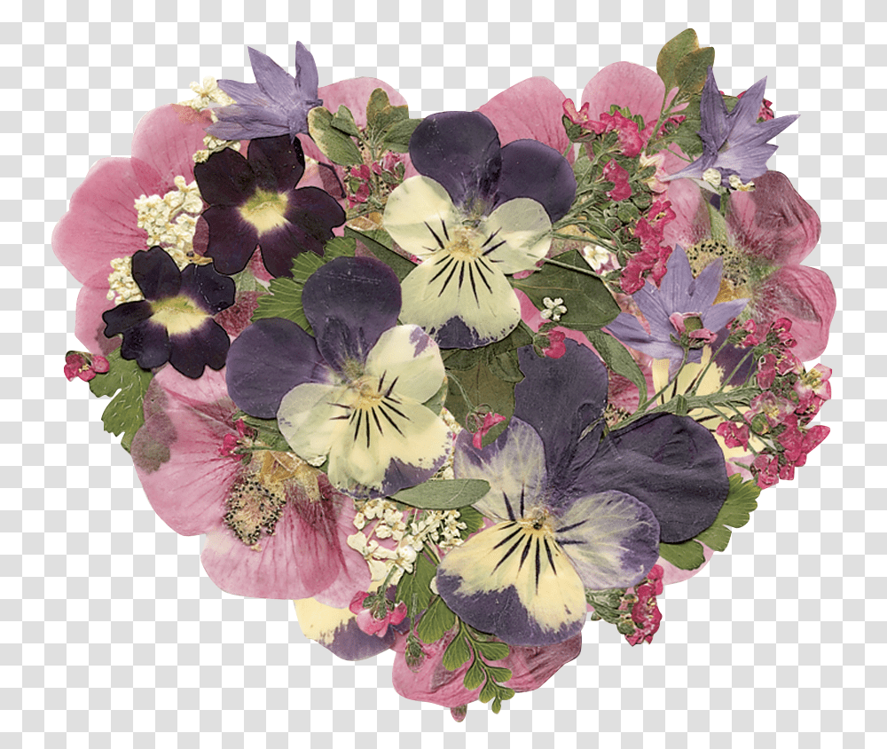 The Art Of Real Pressed Flowers La Multi Ani Draga Mea, Geranium, Plant, Blossom, Flower Arrangement Transparent Png