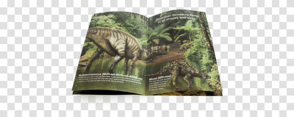 The Australian Dinosaur Big Book Tyrannosaurus, T-Rex, Reptile, Animal, Advertisement Transparent Png