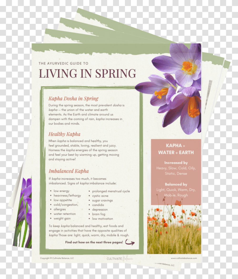 The Ayurvedic Guide To Living In Spring Autumn Crocus, Poster, Advertisement, Flyer, Paper Transparent Png