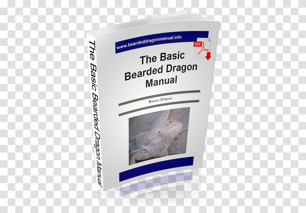 The Basic Bearded Dragon Manual Whale Shark, Iguana, Lizard, Reptile, Animal Transparent Png