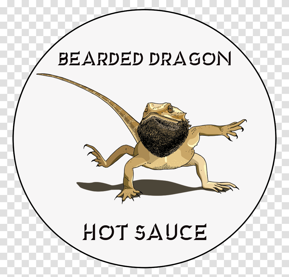 The Bearded Dragon Hot Sauce Cartoon, Animal, Reptile, Tortoise, Turtle Transparent Png