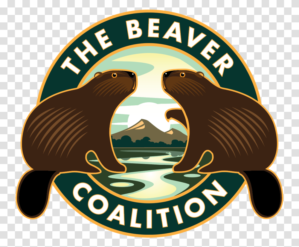 The Beaver Coalition, Wildlife, Animal, Mammal, Rodent Transparent Png