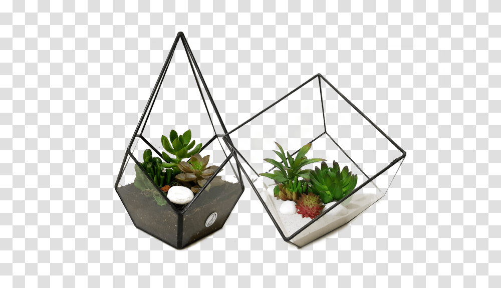 The Beginning Series, Tabletop, Furniture, Potted Plant, Vase Transparent Png