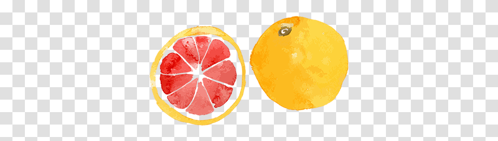 The Benefits Of Grapefruit Lemon Water Color, Citrus Fruit, Plant, Food, Produce Transparent Png