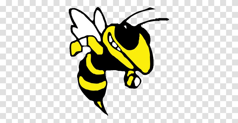 The Bessemer City Yellow Jackets, Wasp, Bee, Insect, Invertebrate Transparent Png