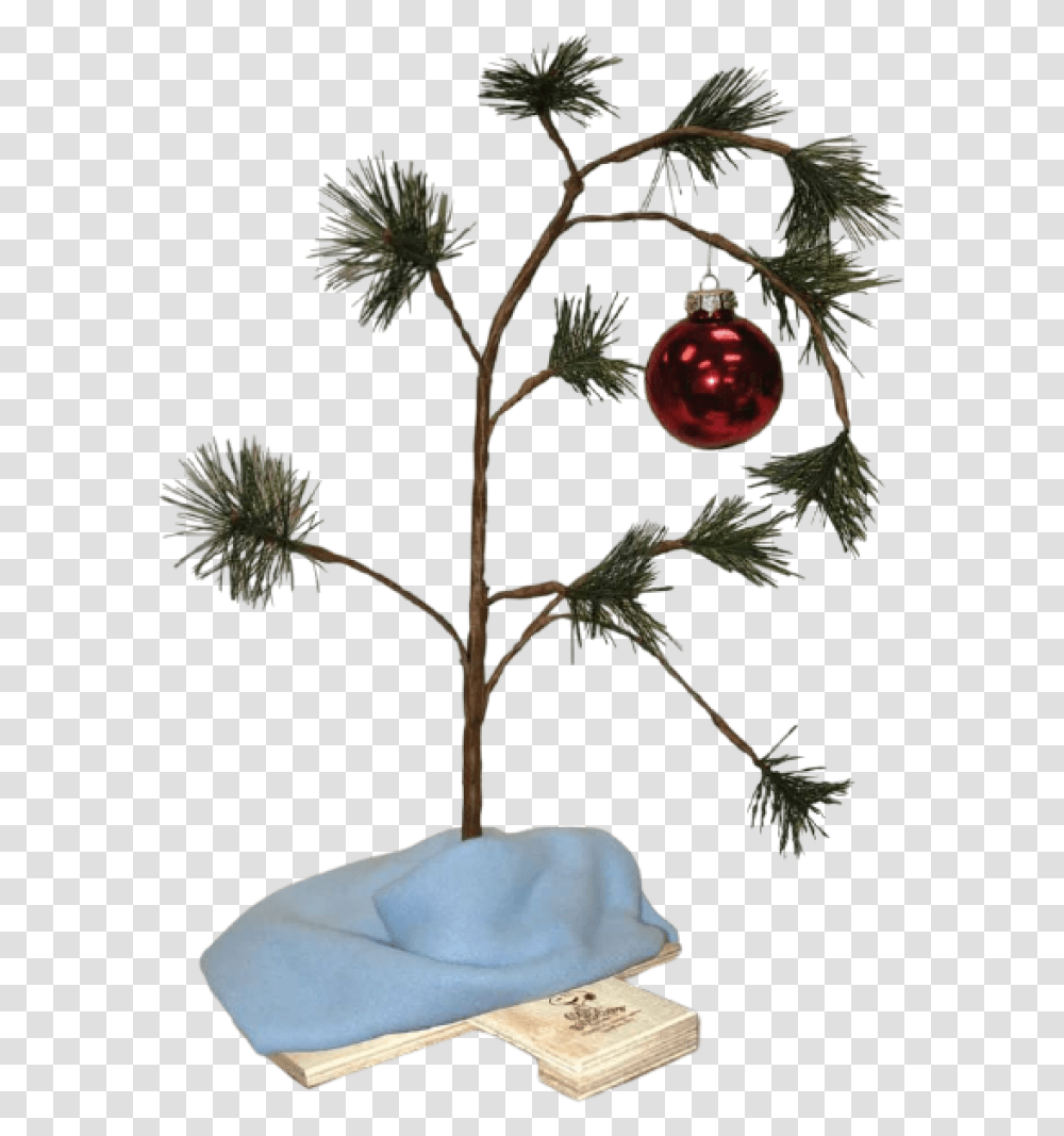 The Best Christmas Decorations Products To Buy In 2020 - Rivajs Charlie Brown Christmas Tree, Plant, Fruit, Food, Conifer Transparent Png