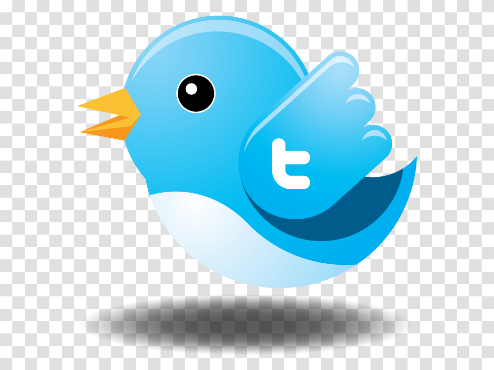 The Best Free Instagram Clipart Images Logo Twitter 3d, Bird, Animal, Jay, Bluebird Transparent Png