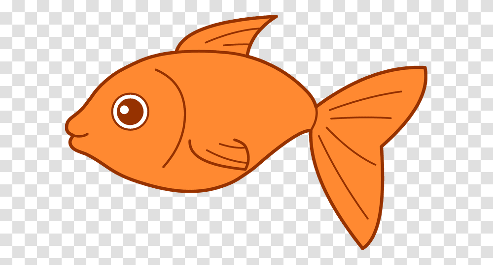 The Best Places To Download Fish Clip Art For Free Fish Clipart, Animal, Goldfish, Sunglasses, Accessories Transparent Png