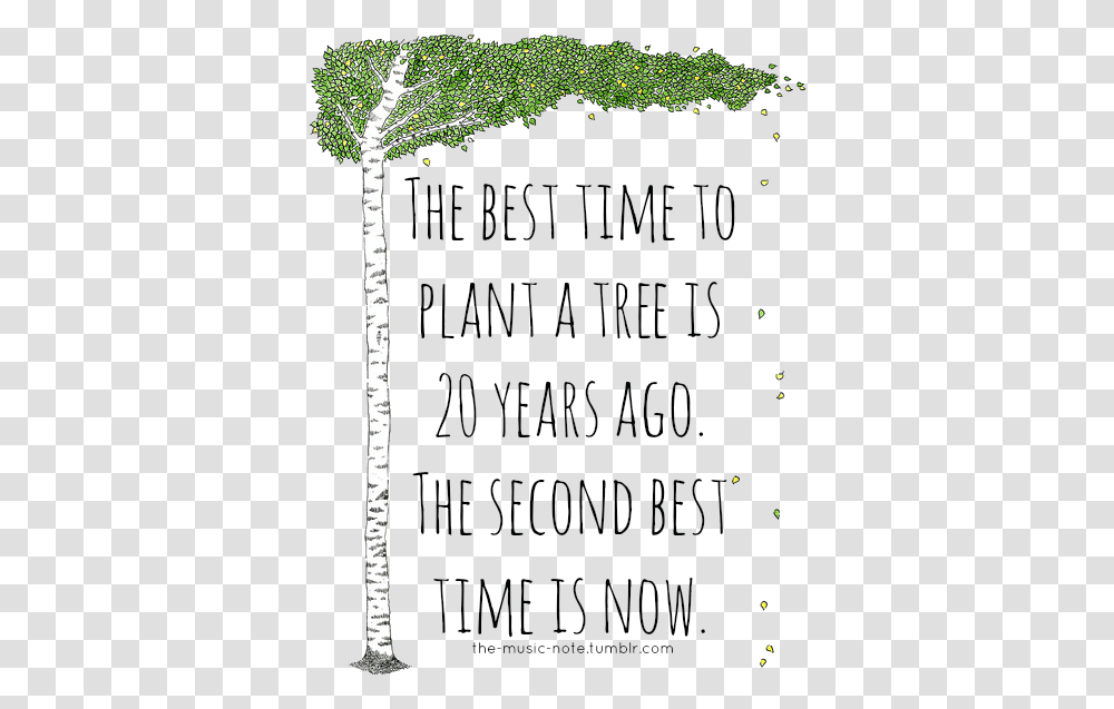 The Best Time To Plant A Tree Is Twenty Years Ago Right Time To Plant A Tree, Palm Tree, Arecaceae, Birch Transparent Png