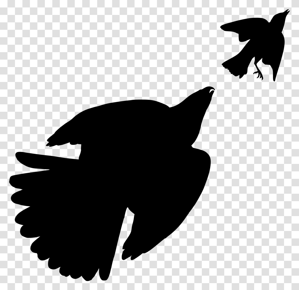 The Birds Of America Cooper S Hawk Bird Of Prey Bird Silhouette Jay, Gray, World Of Warcraft, Halo Transparent Png