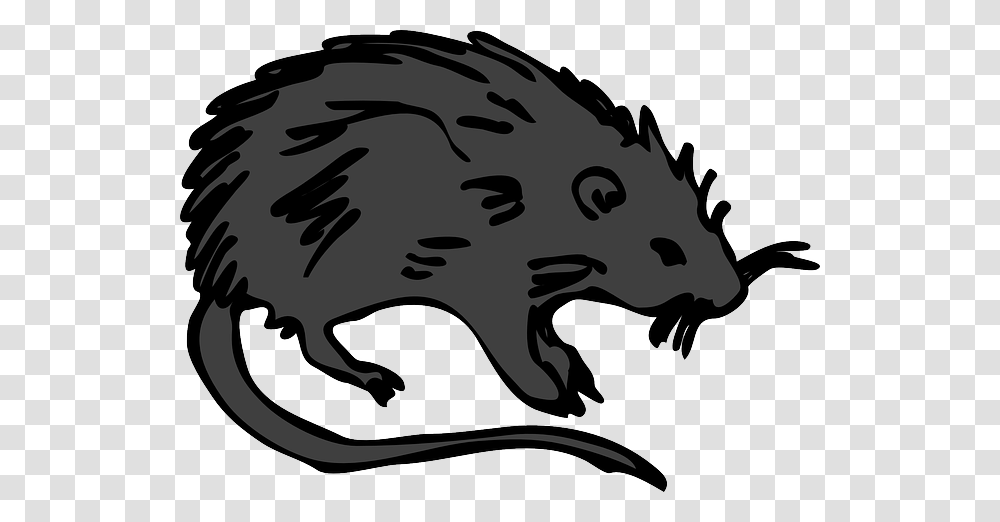 The Black Death, Animal, Mammal, Rodent, Wildlife Transparent Png