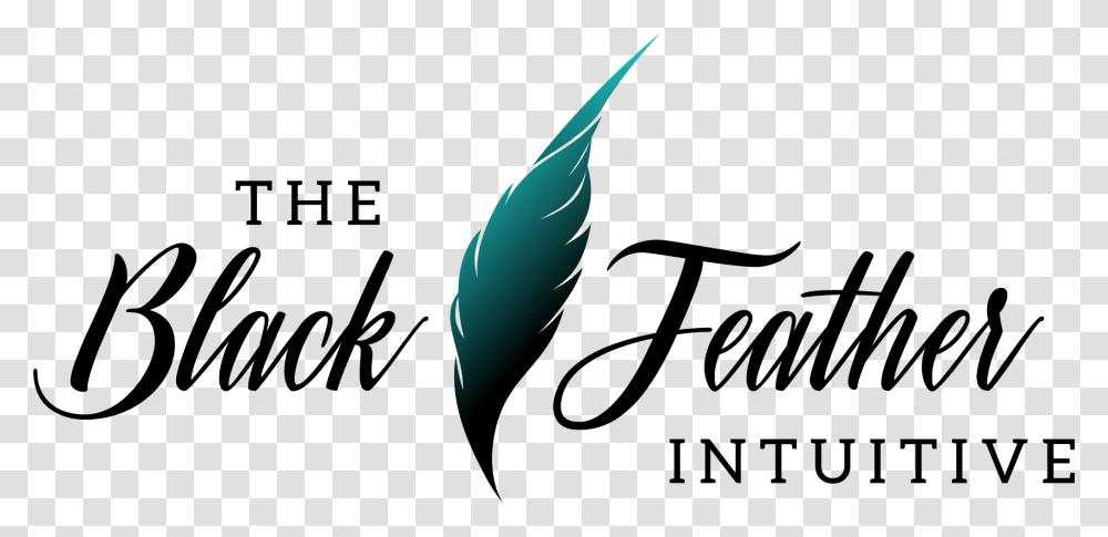 The Black Feather Intuitive Calligraphy, Sea Life, Animal, Plant, Fish Transparent Png