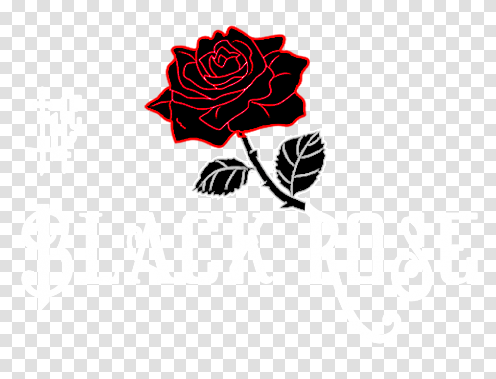 The Black Rose Desktop Wallpaper, Floral Design, Pattern Transparent Png