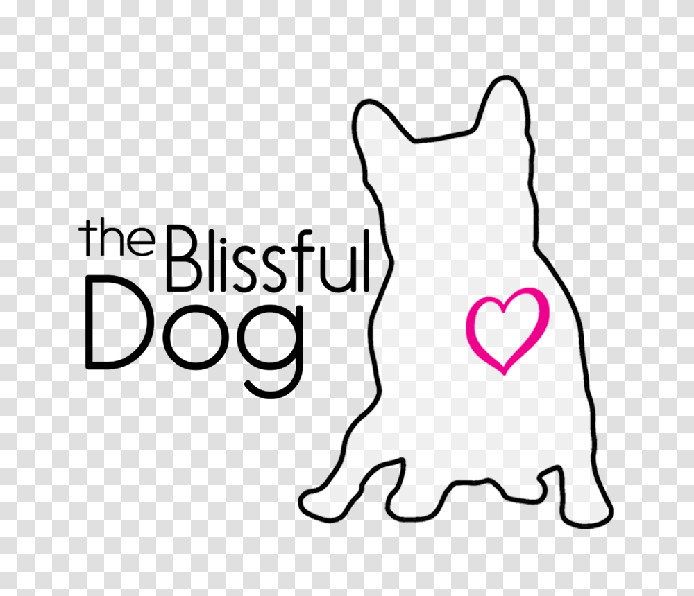 The Blissful Dog Nose Butter, Animal, Mammal, Pet, Cat Transparent Png