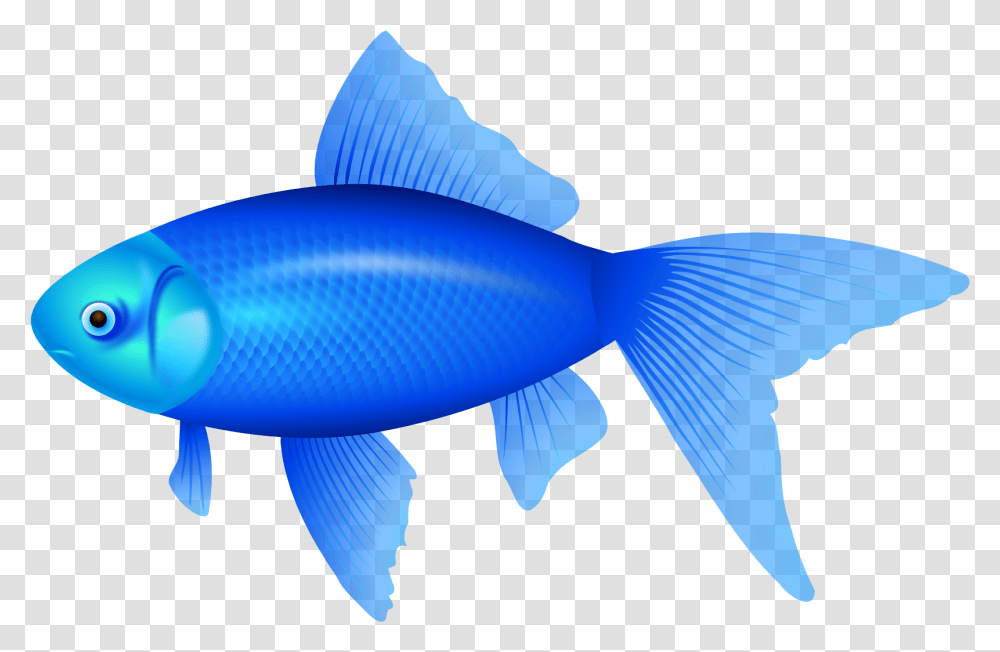 The Blue Fish Clip Art Blue Fish Clipart, Water, Aquatic, Animal, Outdoors Transparent Png