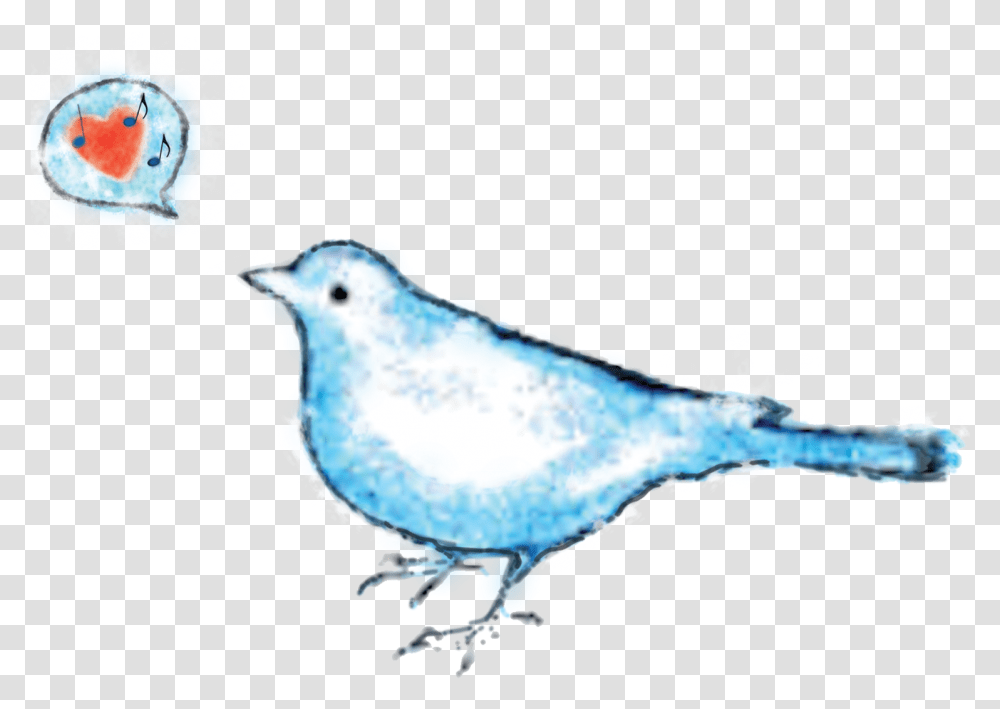 The Bluebird House Icon, Animal, Jay, Blue Jay, Fungus Transparent Png