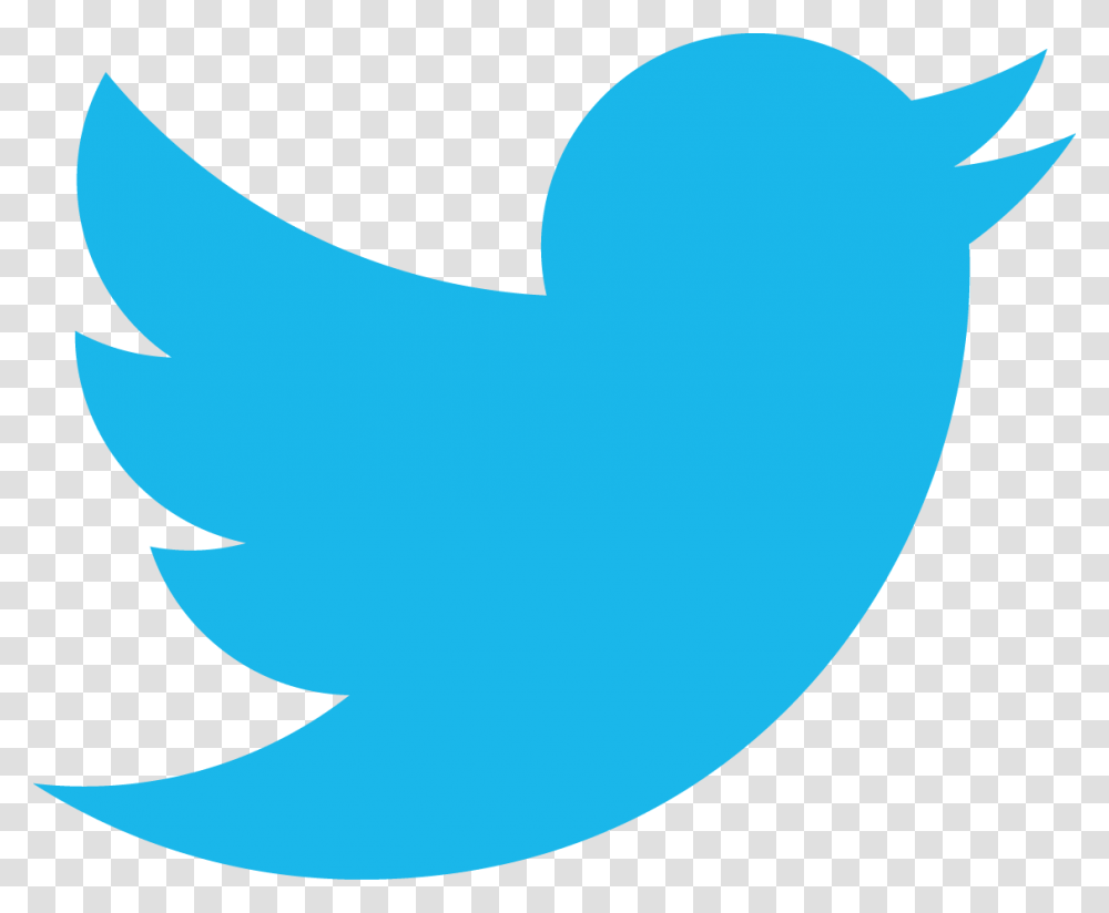 The Bluntist Twitter Social Media Logos, Shark, Sea Life, Fish, Animal Transparent Png