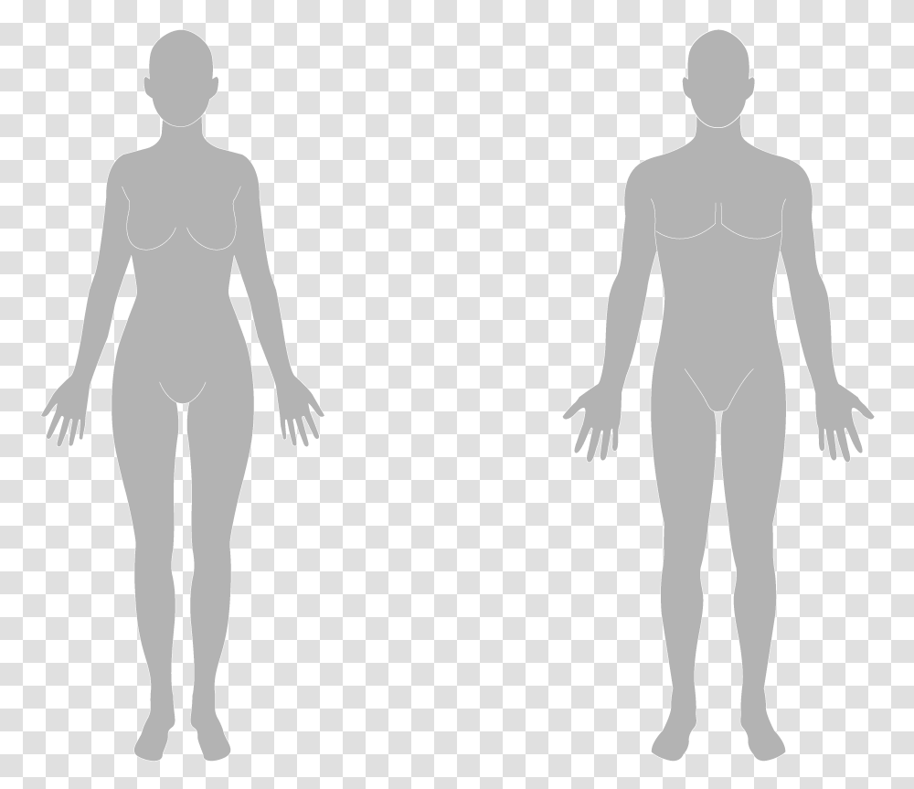 The Body Flashcards Human Body Silhouette, Alien, Mannequin, Person, Shorts Transparent Png