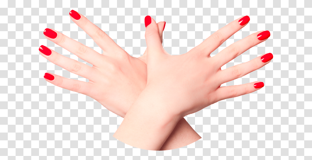 The Body Nails Clipart Background, Hand, Wrist, Person, Human Transparent Png