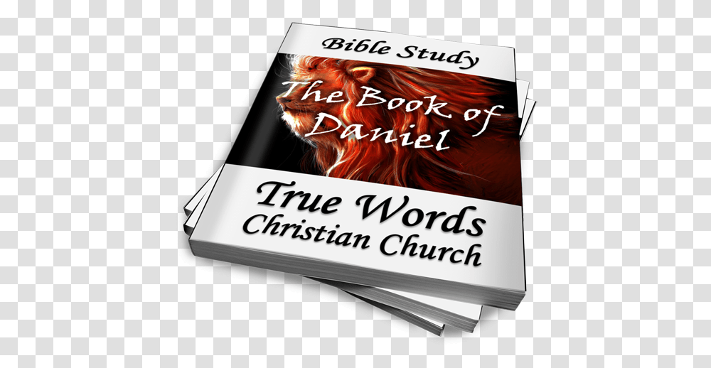 The Book Of Daniel Bible Study Horizontal, Text, Paper, Poster, Advertisement Transparent Png