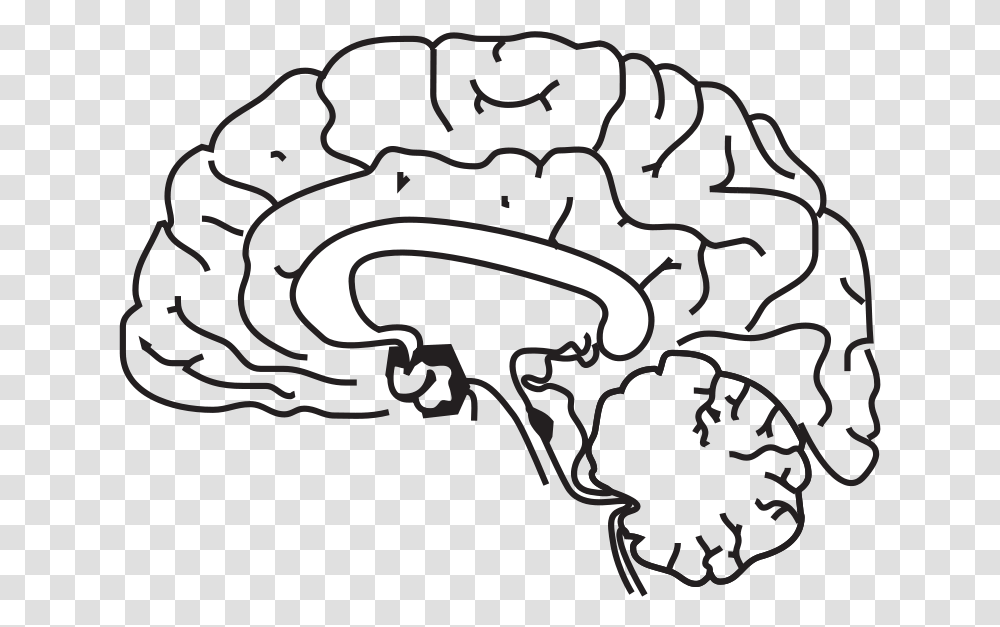 The Brain In Space, Stencil, Label, Statue Transparent Png