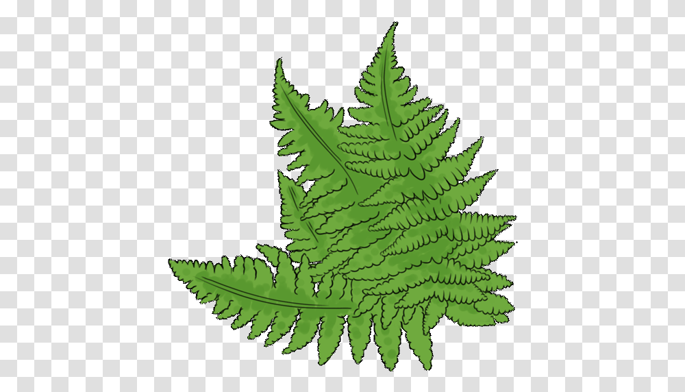 The Bronze Age In North Of Scotland Ferns, Plant, Leaf, Bird, Animal Transparent Png