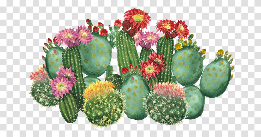 The Cactus & Succulent Society Of Nsw Inc Cactus With Flowers Clipart, Plant Transparent Png