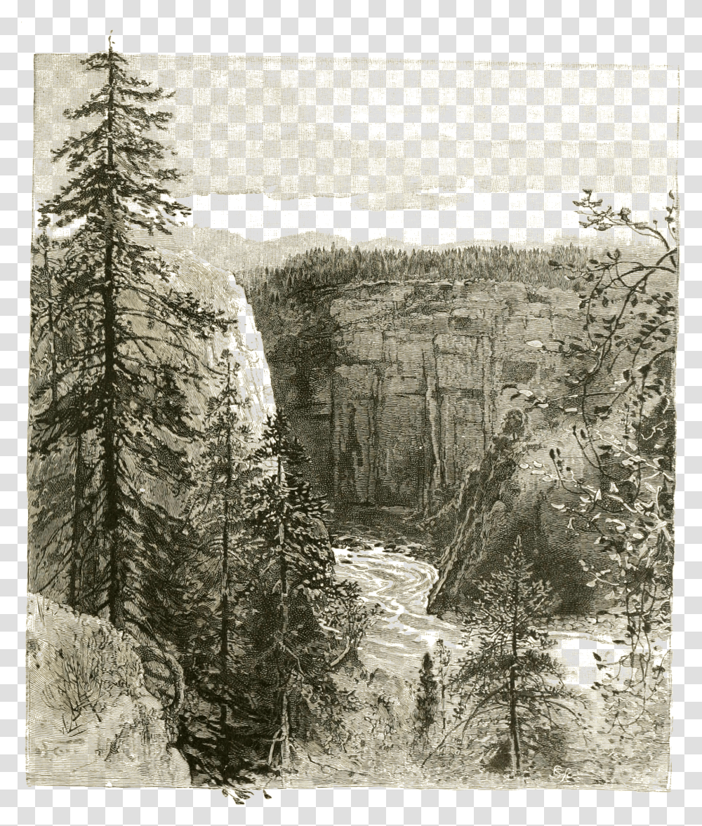 The Canon A Quarter Of A Mile Below The Grand Falls Larch Transparent Png